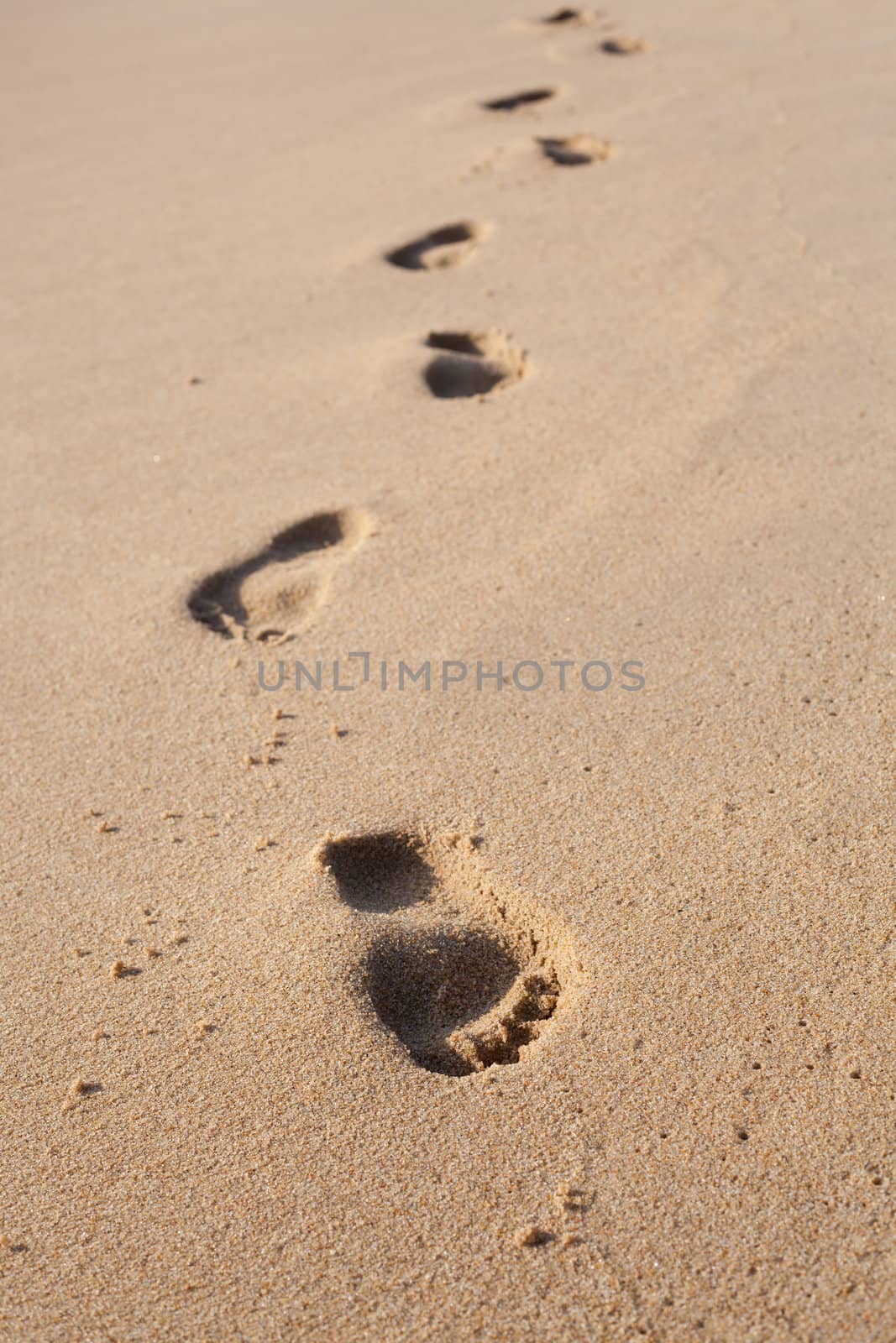 Footprints on the beach sand