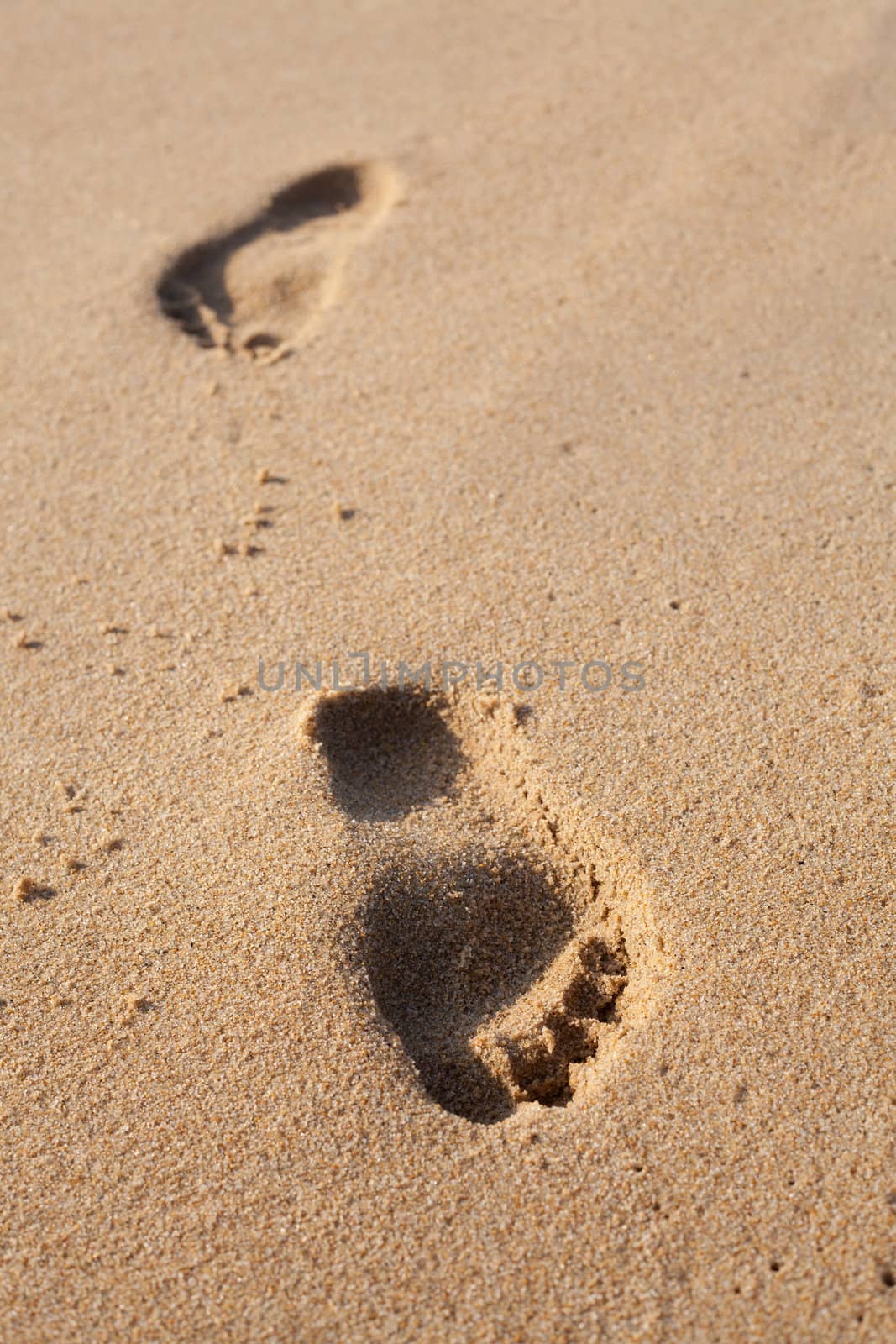 Footprints on the beach sand