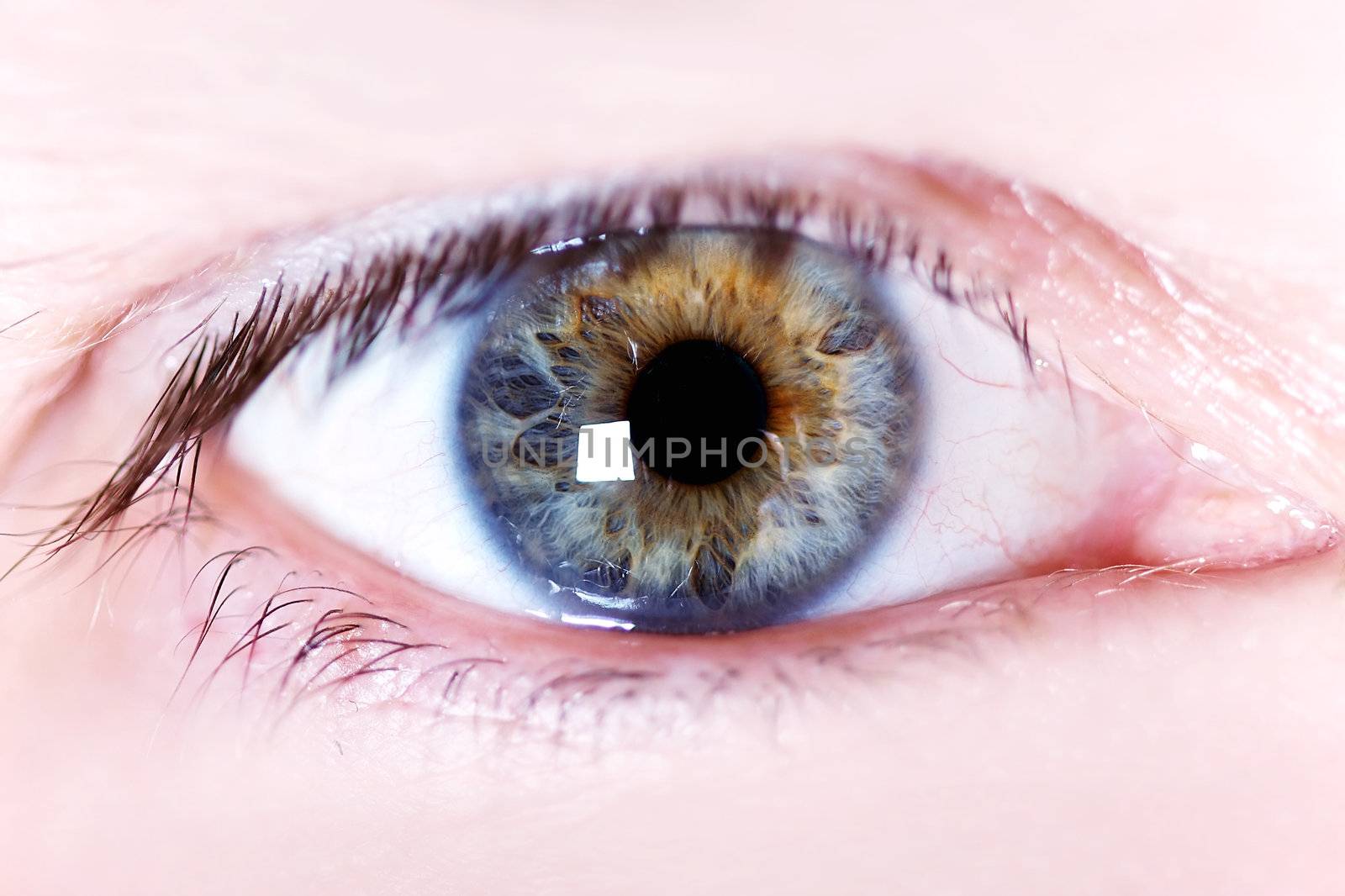 eye by Azaliya