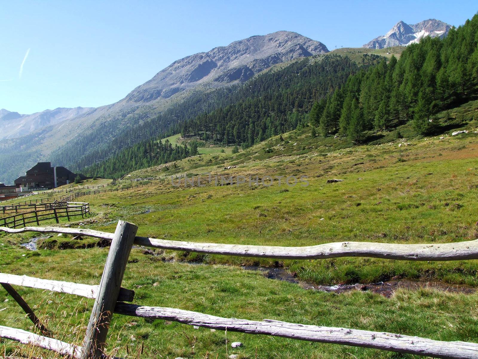Feuchtwiesen bei Kurzras im Schnalstal in Südtirol