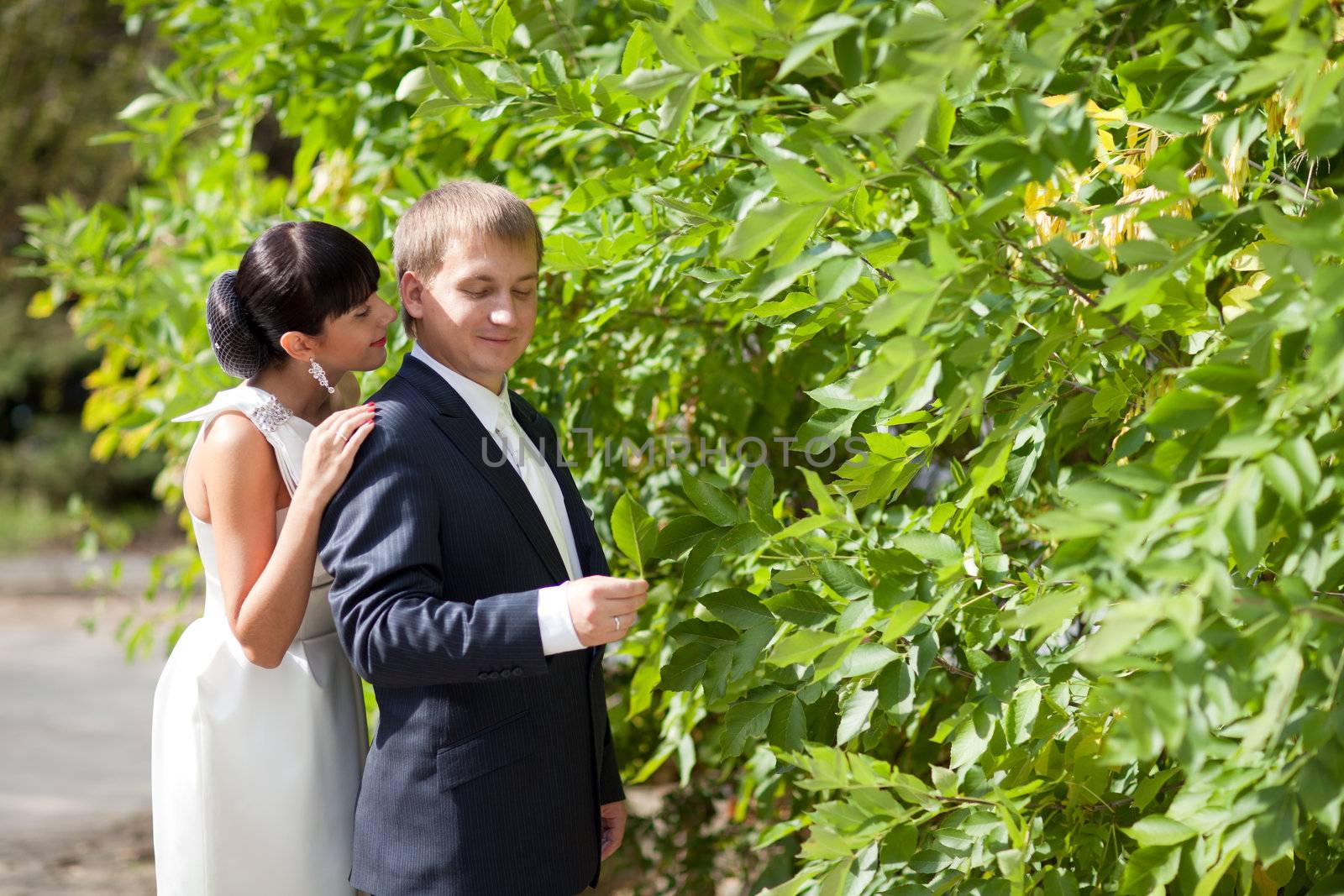 bride and groom near the bush