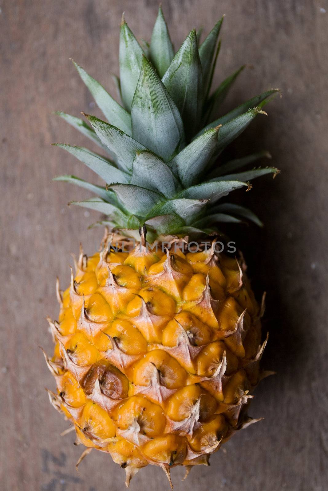 Pineapple fruit