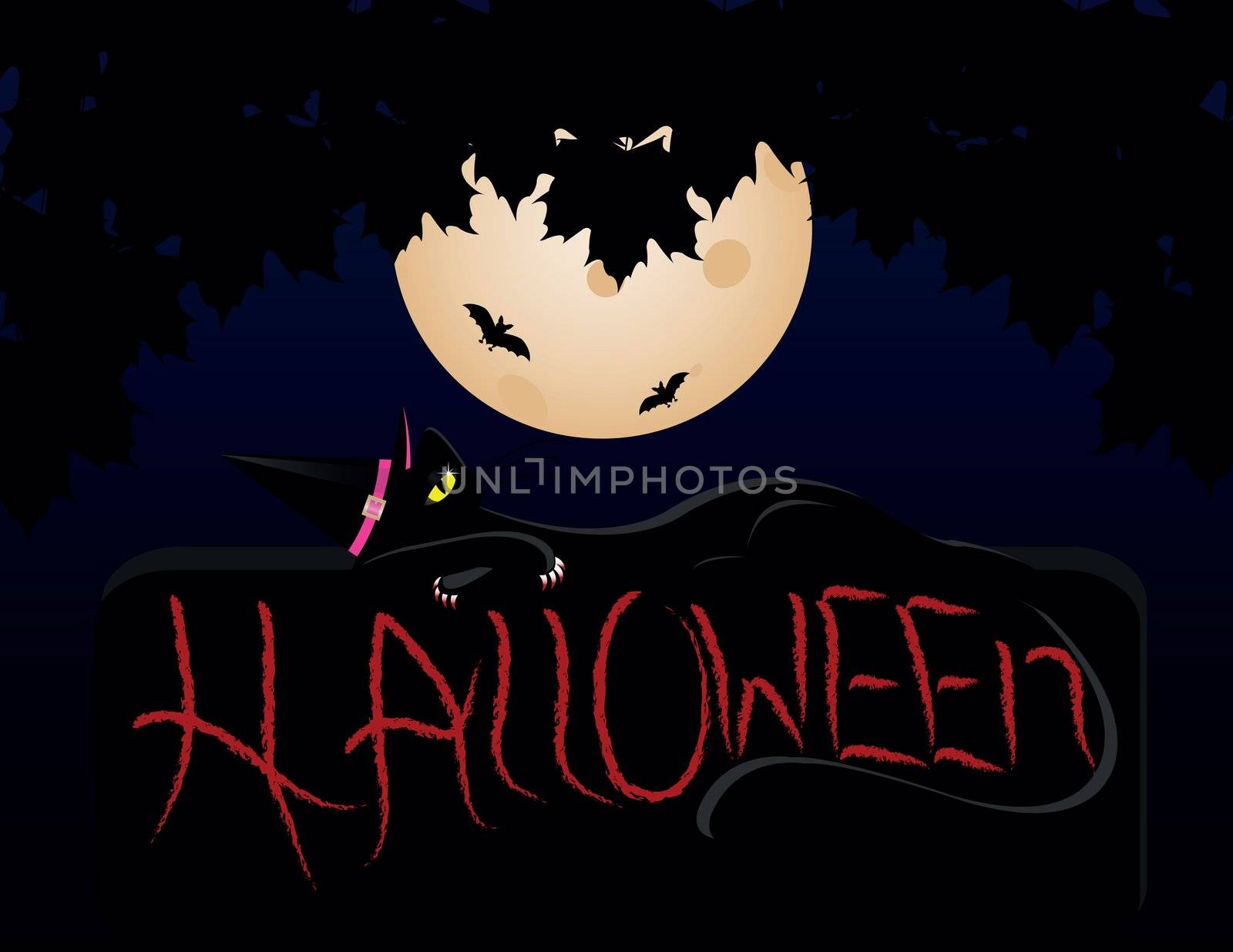 black cat on night of Halloween with Moon and bat