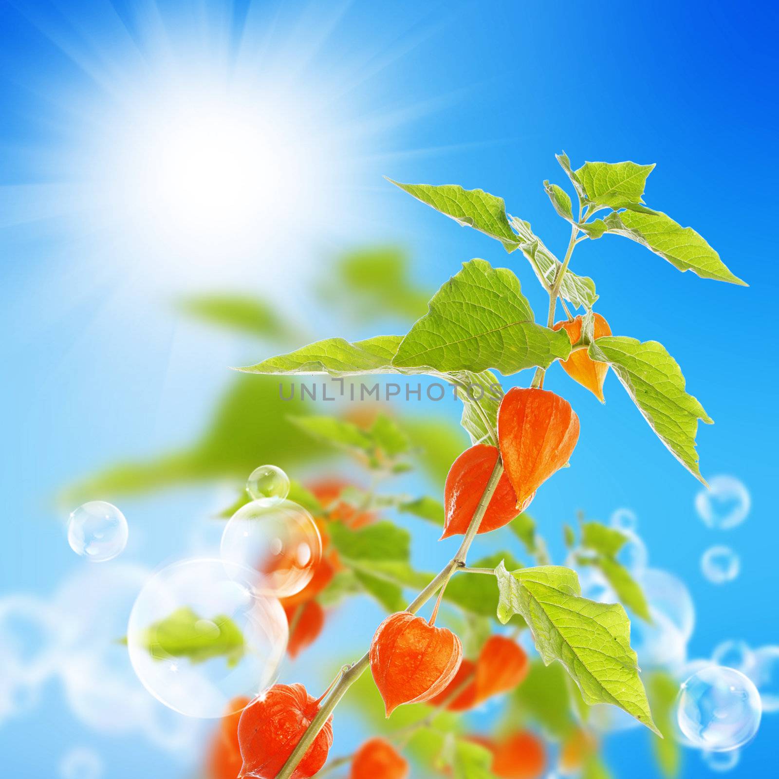 Summer beautiful nature background by sergey150770SV