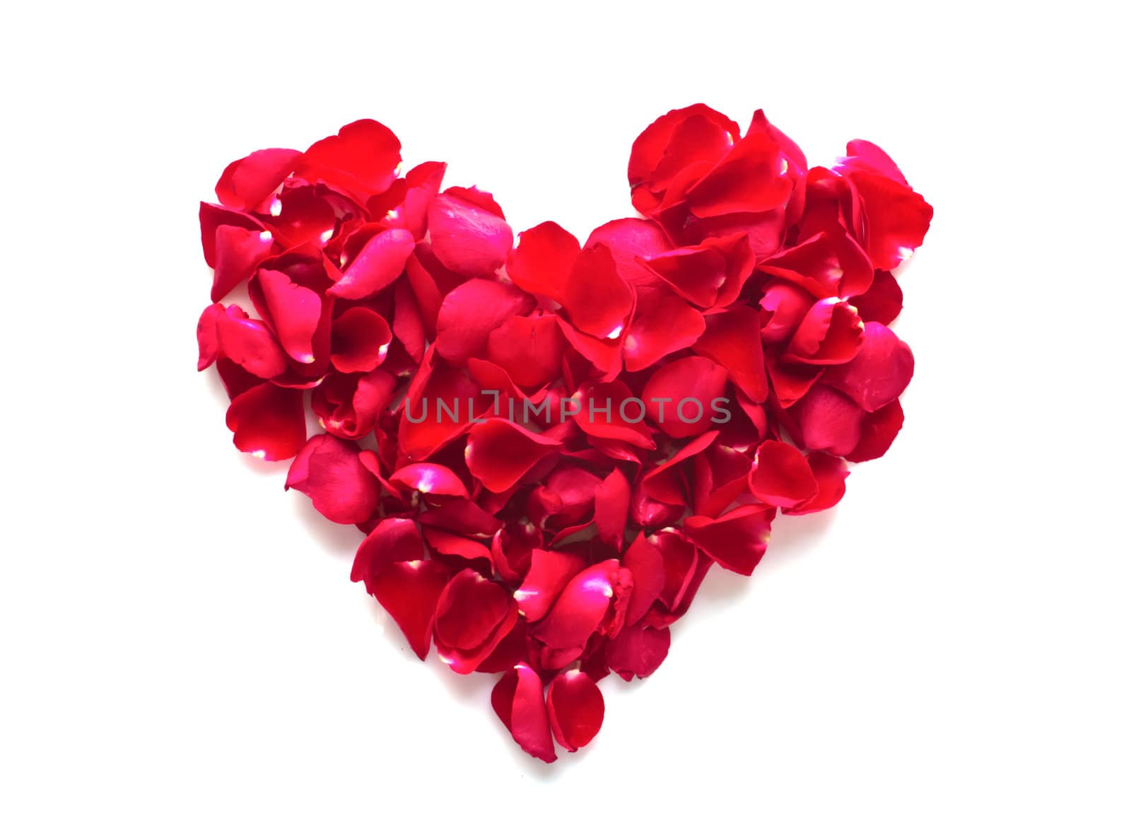 beautiful heart of red rose petals isolated on white  by kurapy