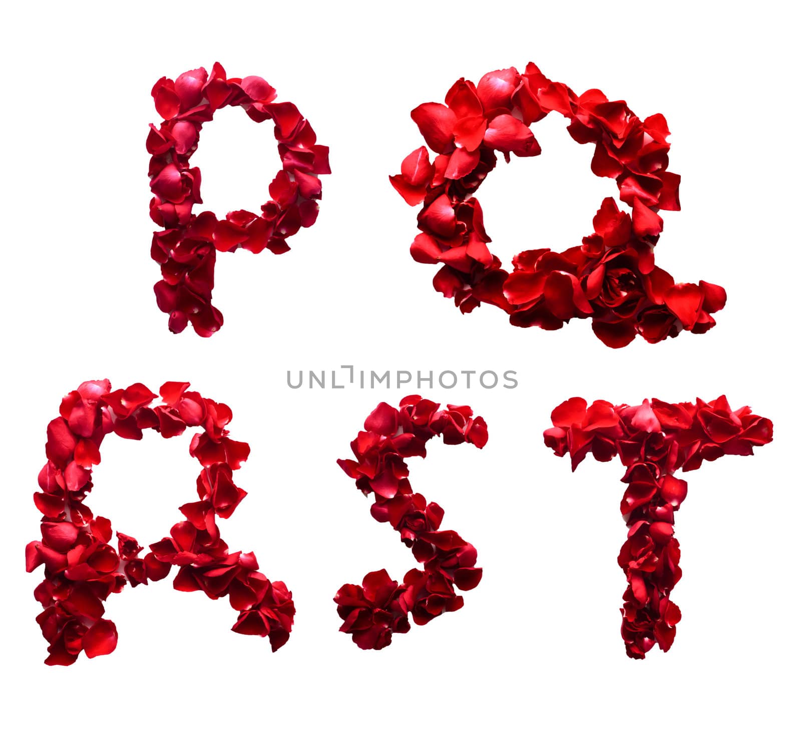 Alphabet letter P - T made from red petals rose isolated on a wh by kurapy