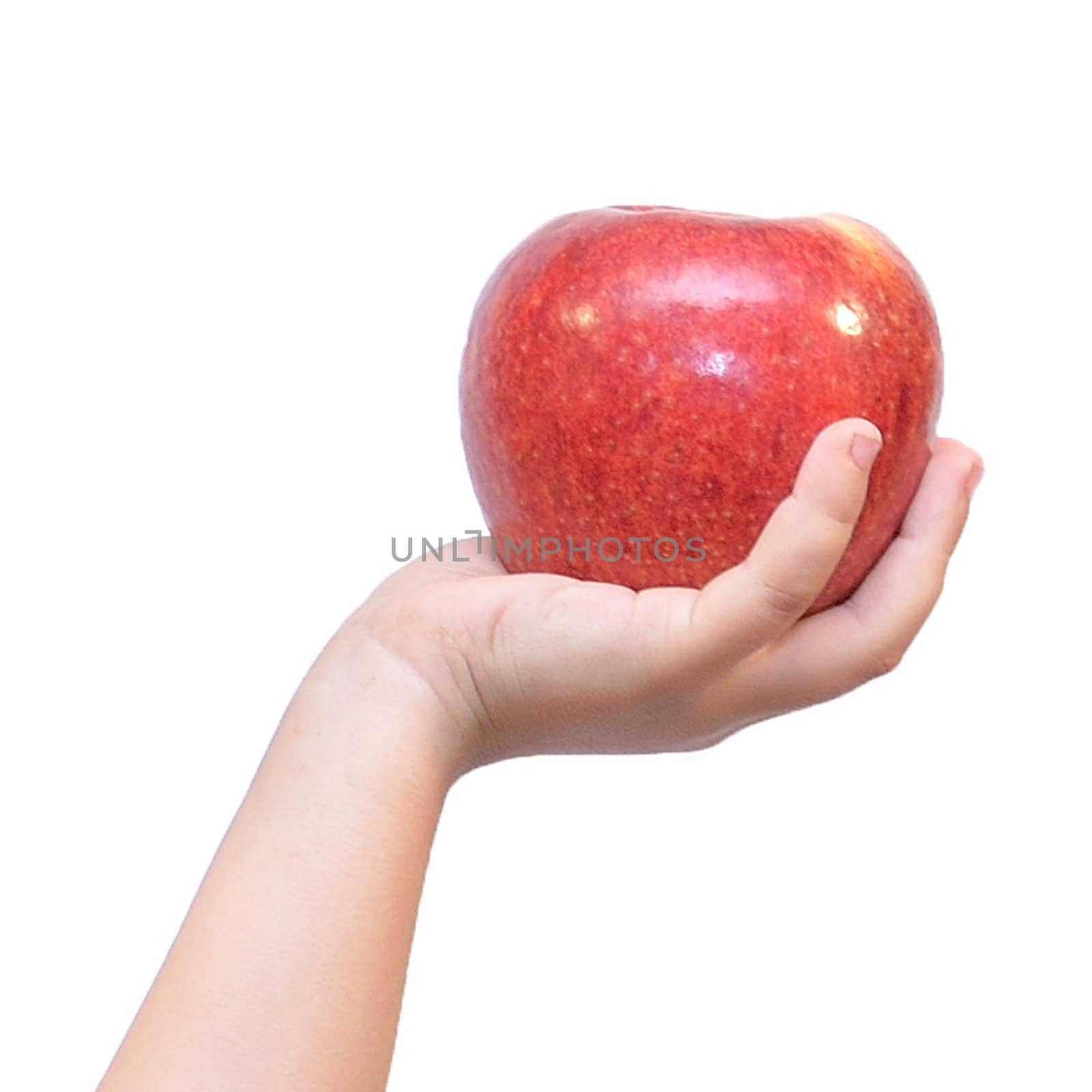 The Hand and apple on white background.