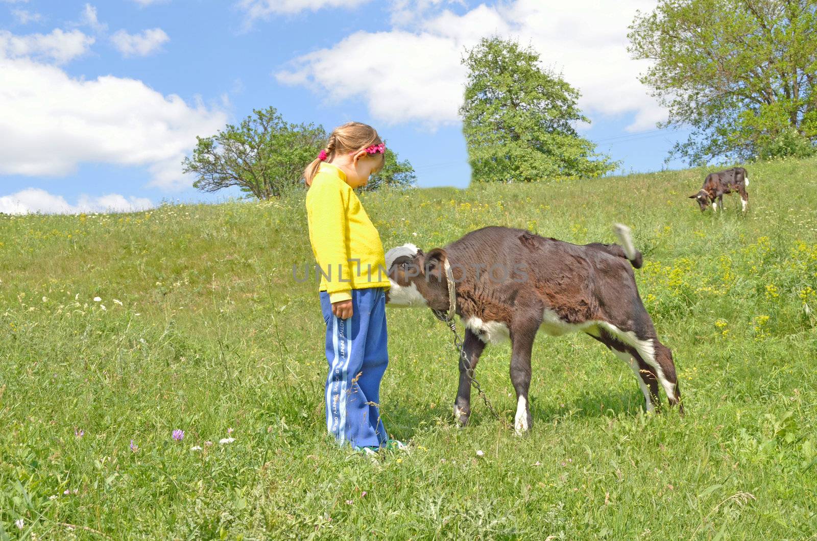 The Child and calf by kusamusa