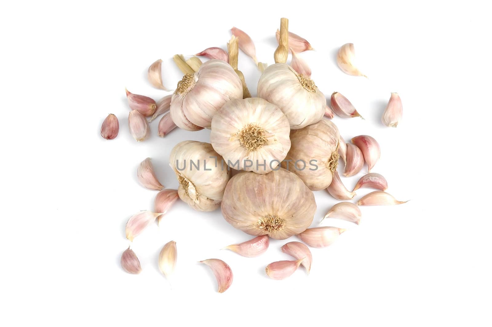 garlic