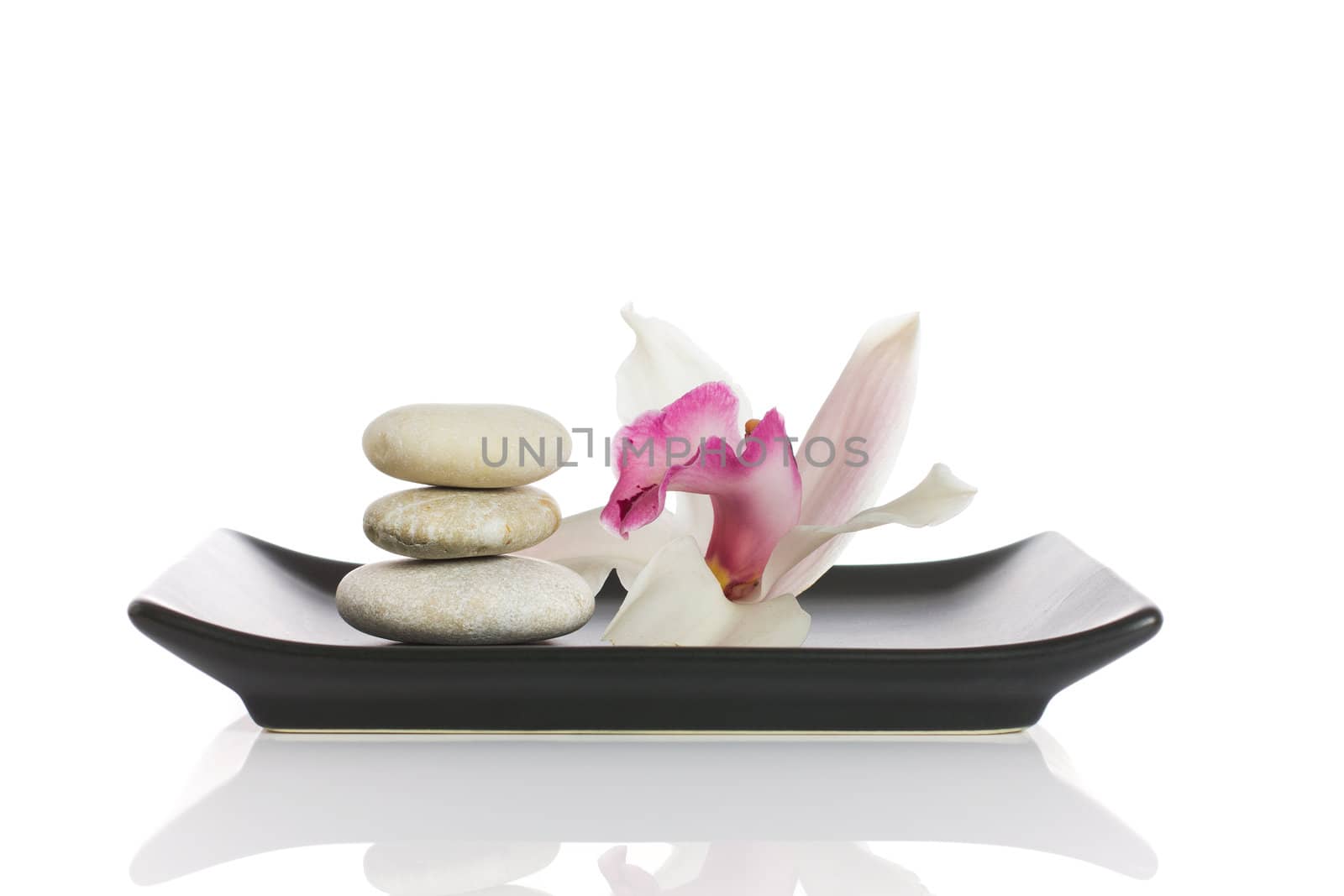 White orchid and spa stones, isolated on white background.