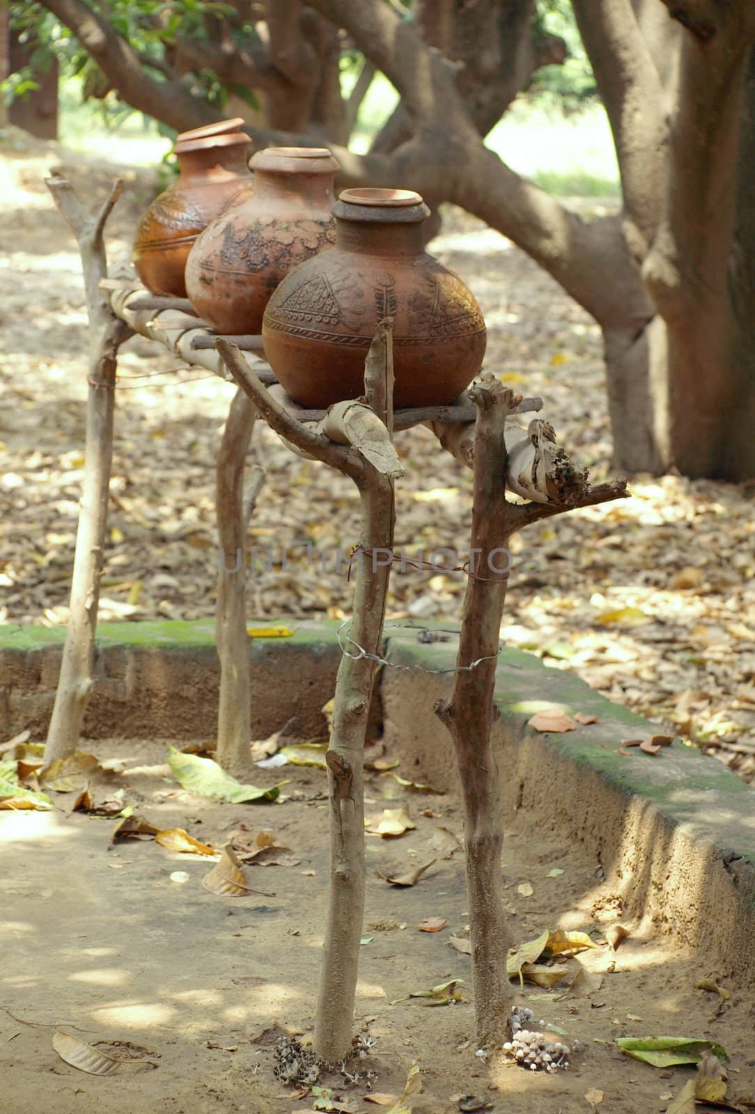 Three pitchers in indian village, summer 2011