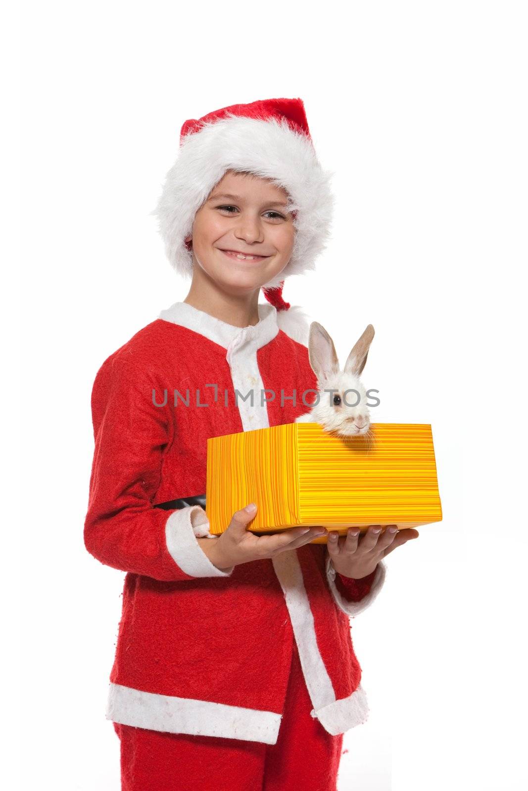 Boy holding a christmas rabbit isolated on white background