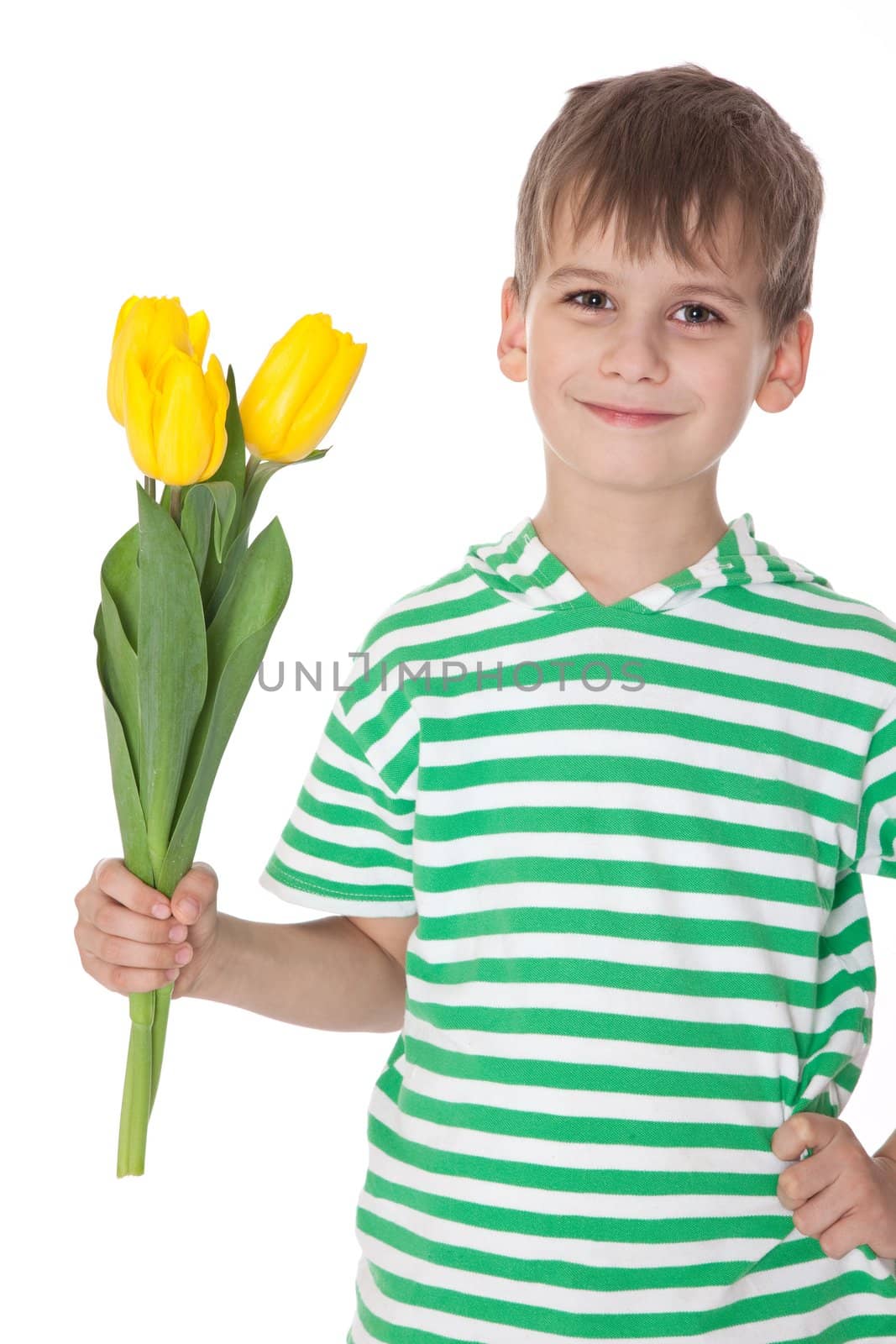 Young boy holding tulips isolated on white