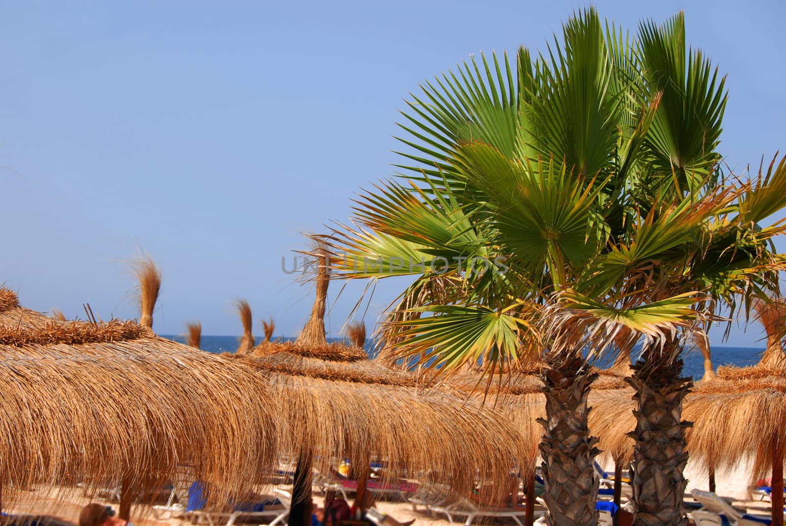 natural orange straw sunshades row on beach over blue sky