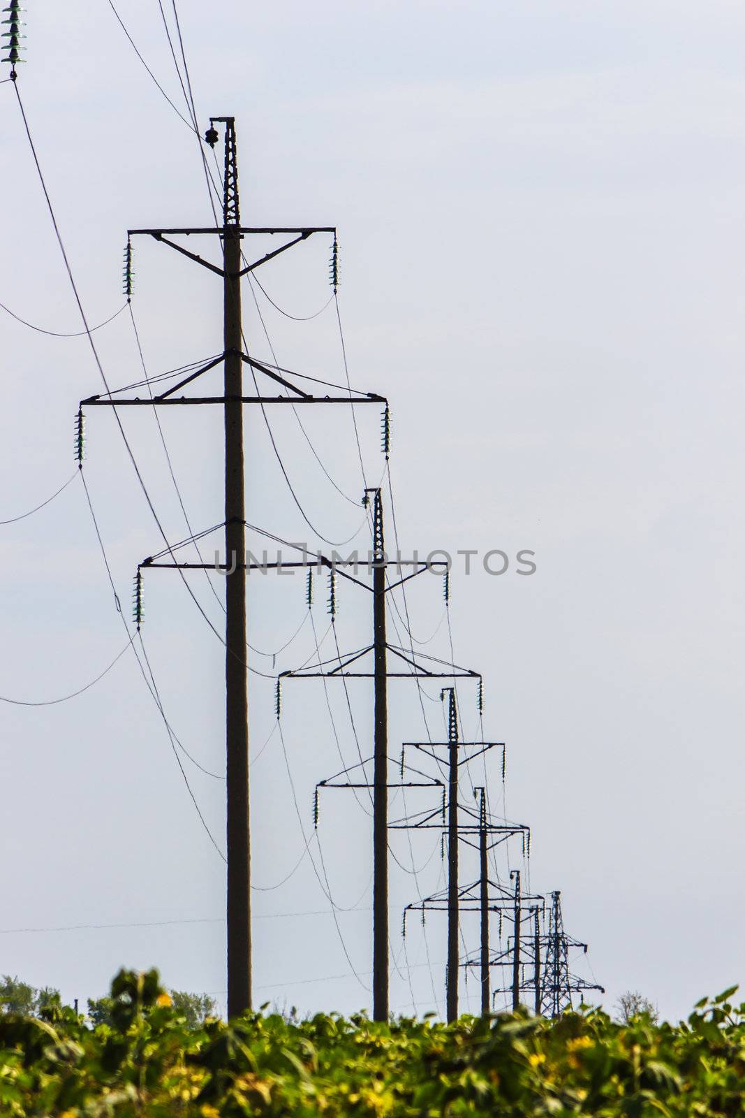 High voltage wires power transmission lines in the field