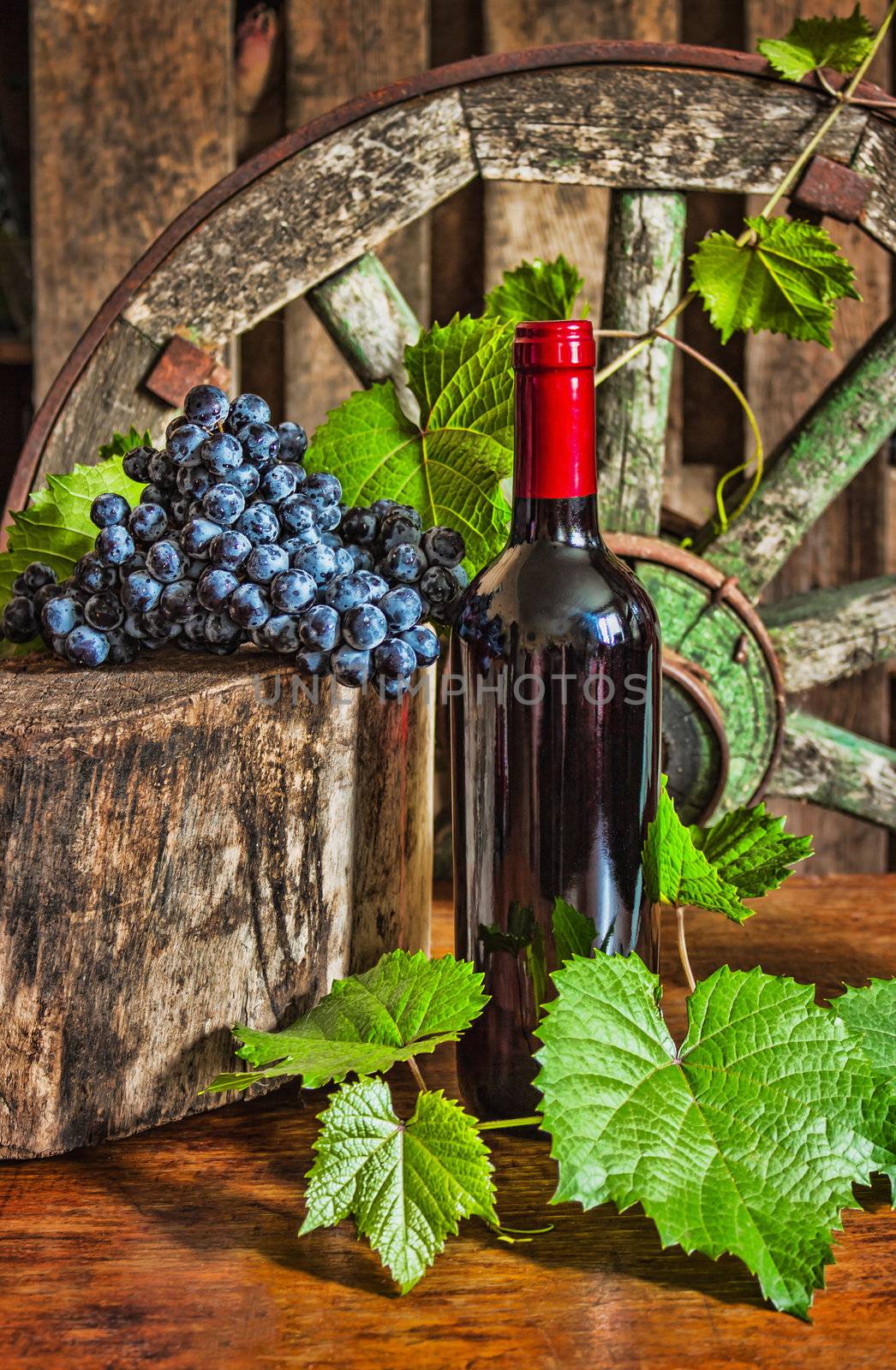 A bottle of wine on the background of the vine by oleg_zhukov