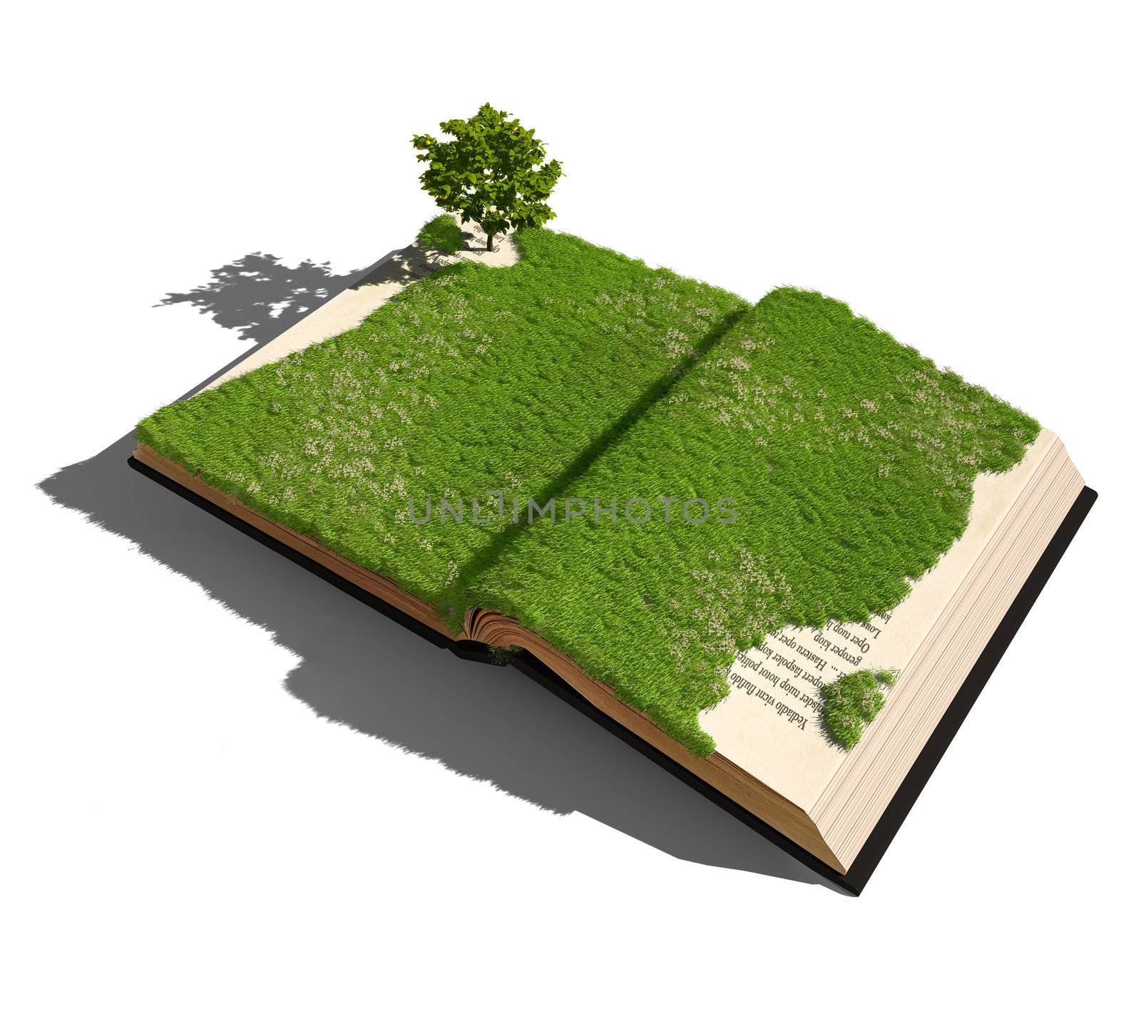 open book with grass and tree. illustrated concept