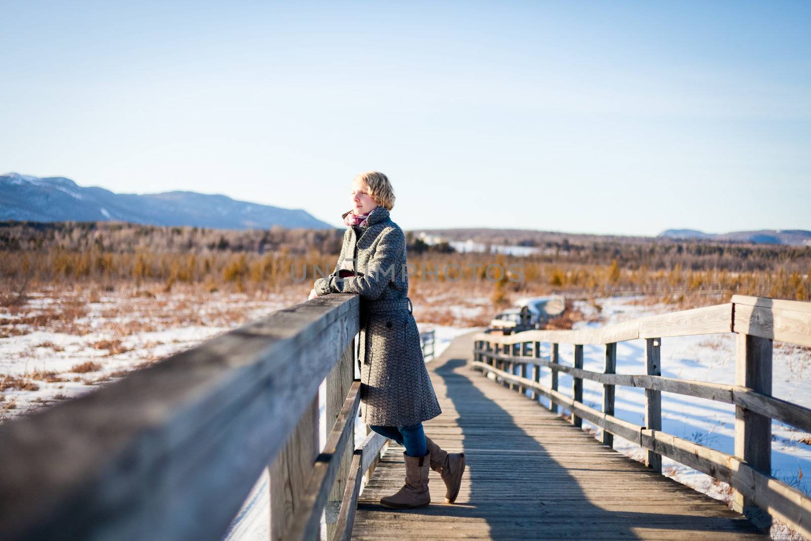 Girl on the bridge in the field (winter)