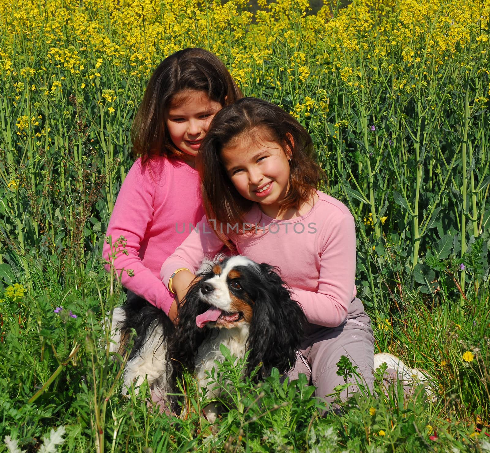 twins sister and little dog cavalier king charles