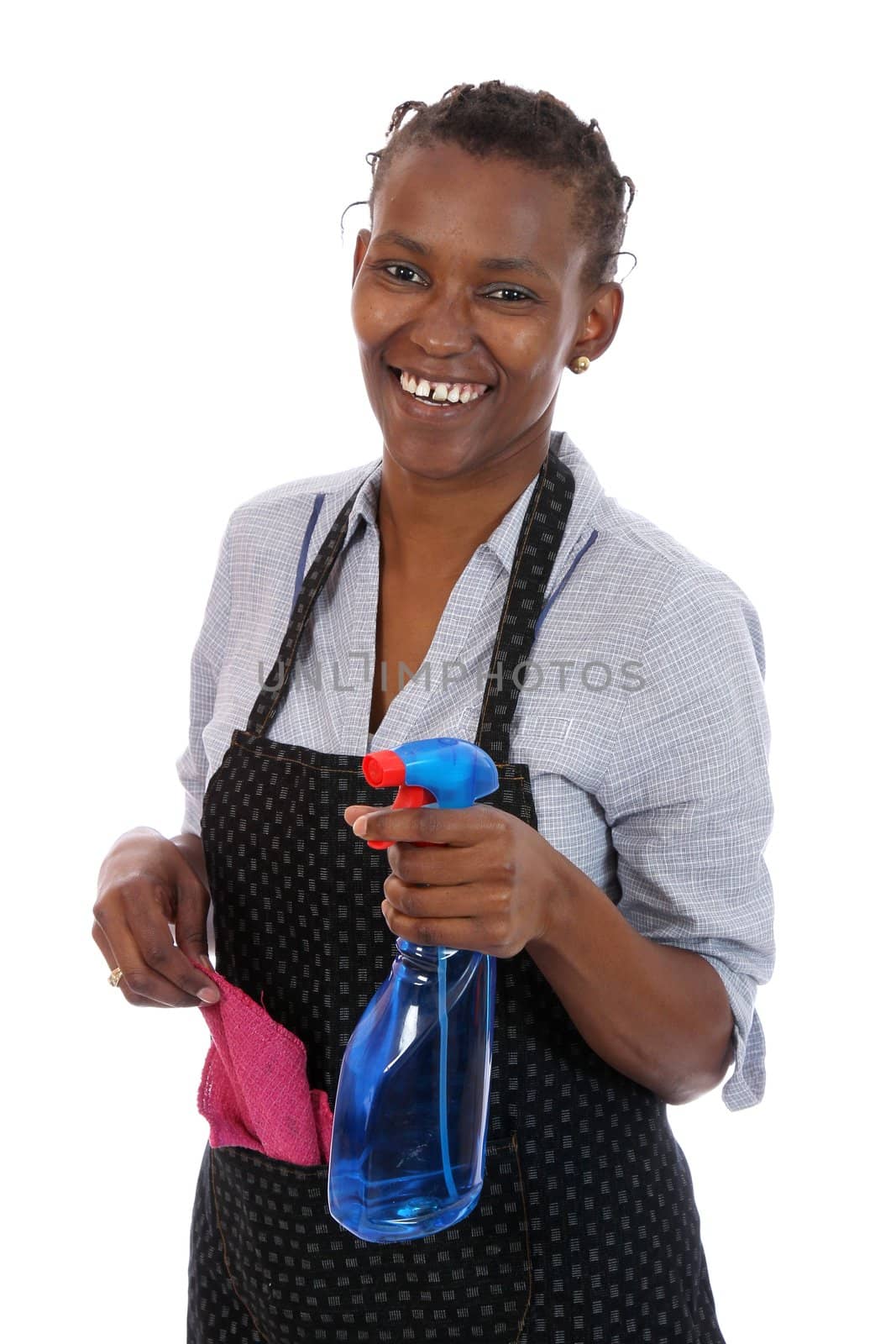 Lovely smiling African lady with cleaning spray and rag