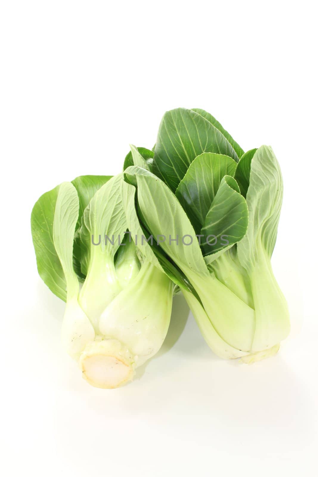 delicious Asian white-green pak choi on a light background
