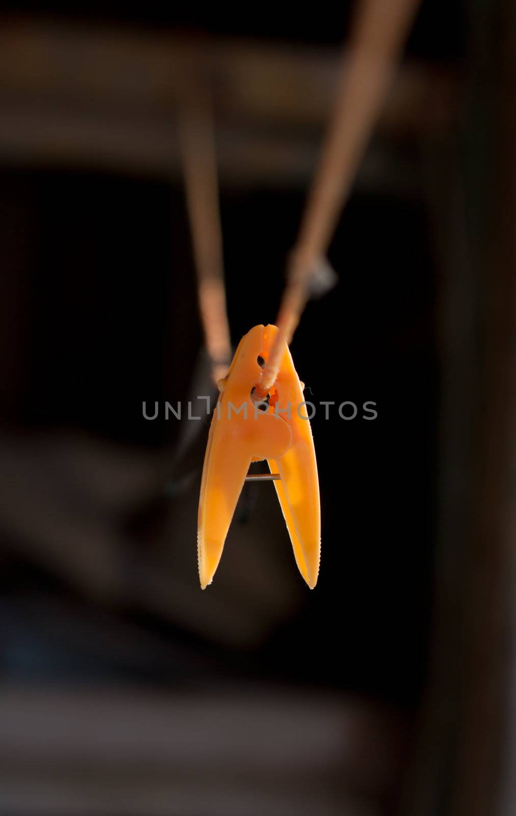 yellow clothes-peg on rope by schankz
