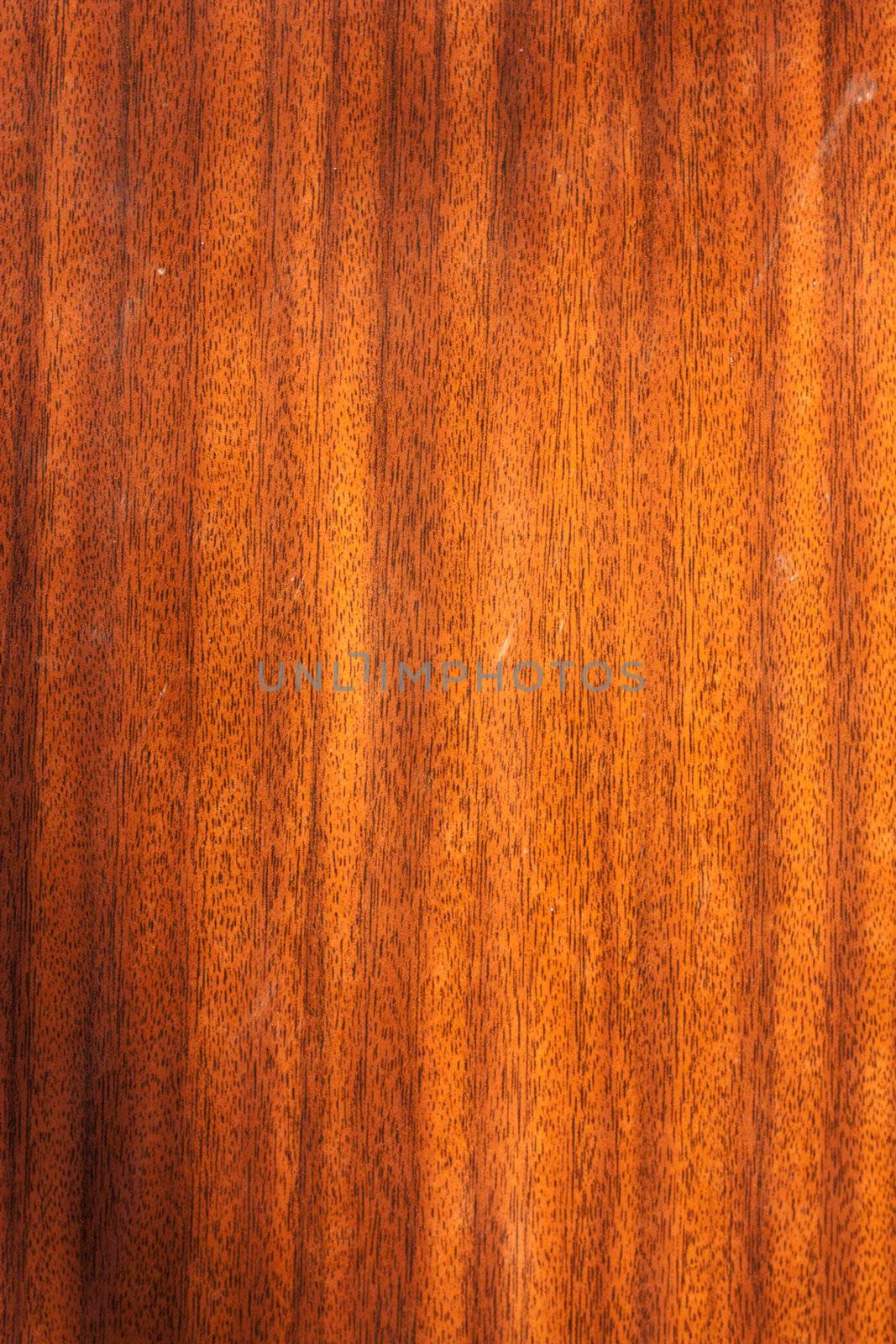 Wood Texture  by schankz