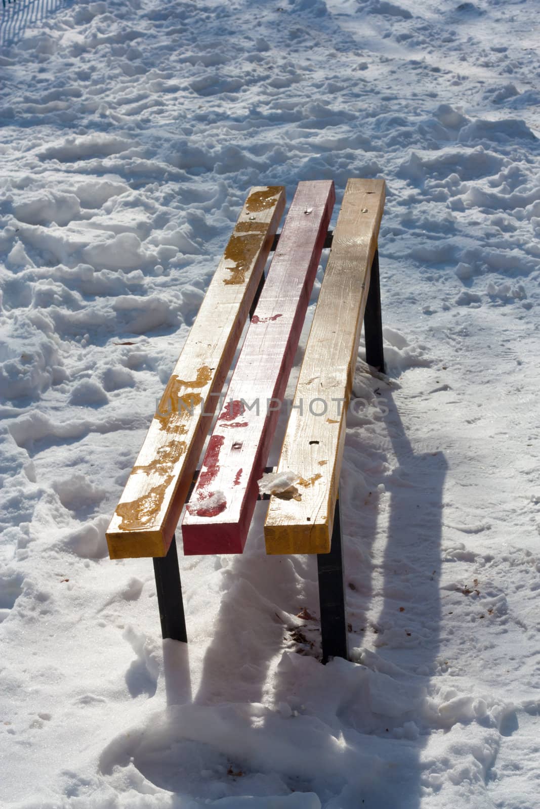 Bench in the Snow by schankz