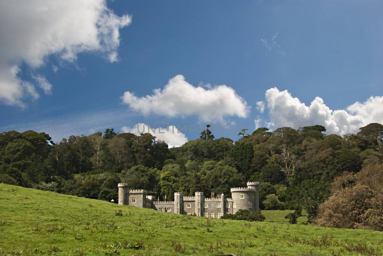 A Nineteenth Century Country House built in the Style of a castle with woodland under a blue sky