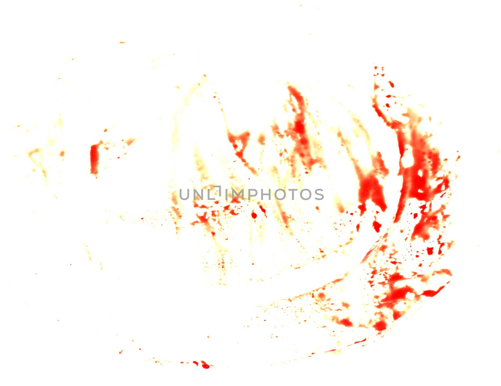 blood imprint on white