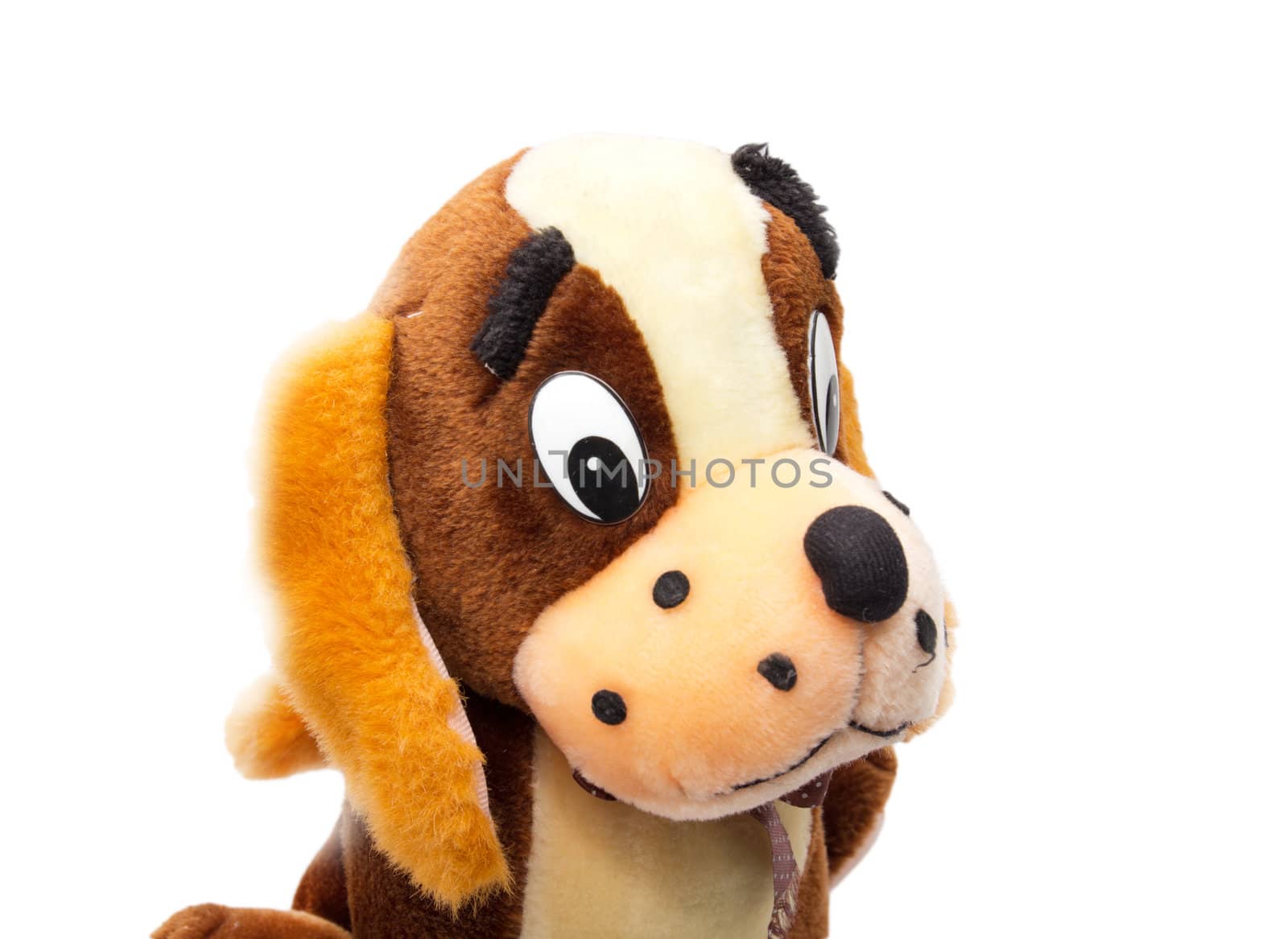 Toy dog isolated on white  by schankz