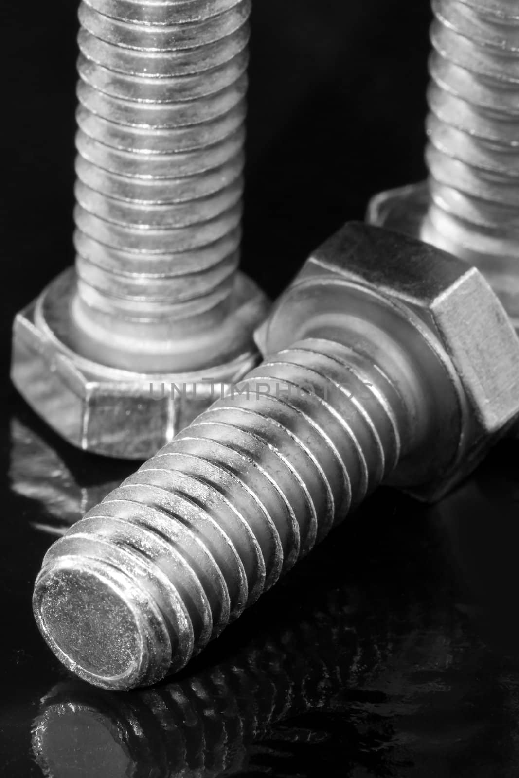 Three Hex Bolts in Black and White