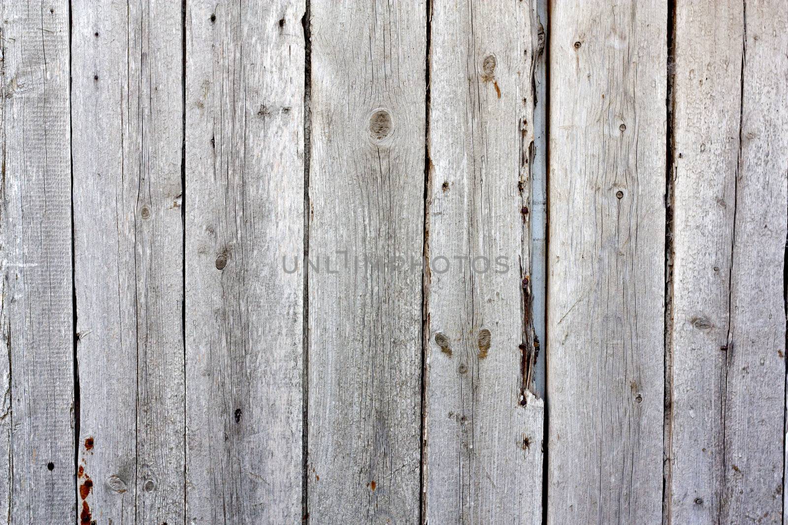 Close up of gray wooden fence panels  by schankz