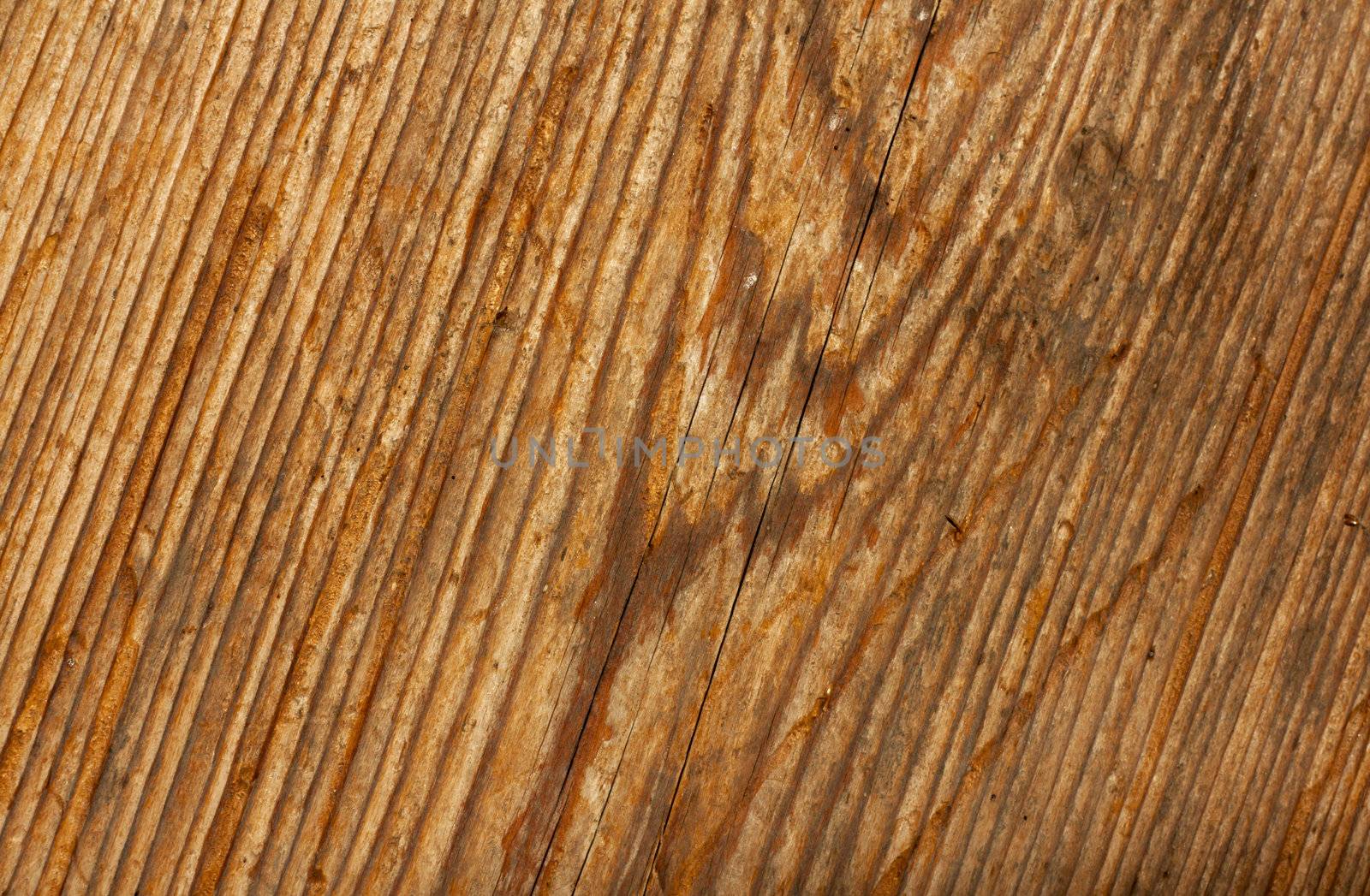 Old Wood Background  by schankz