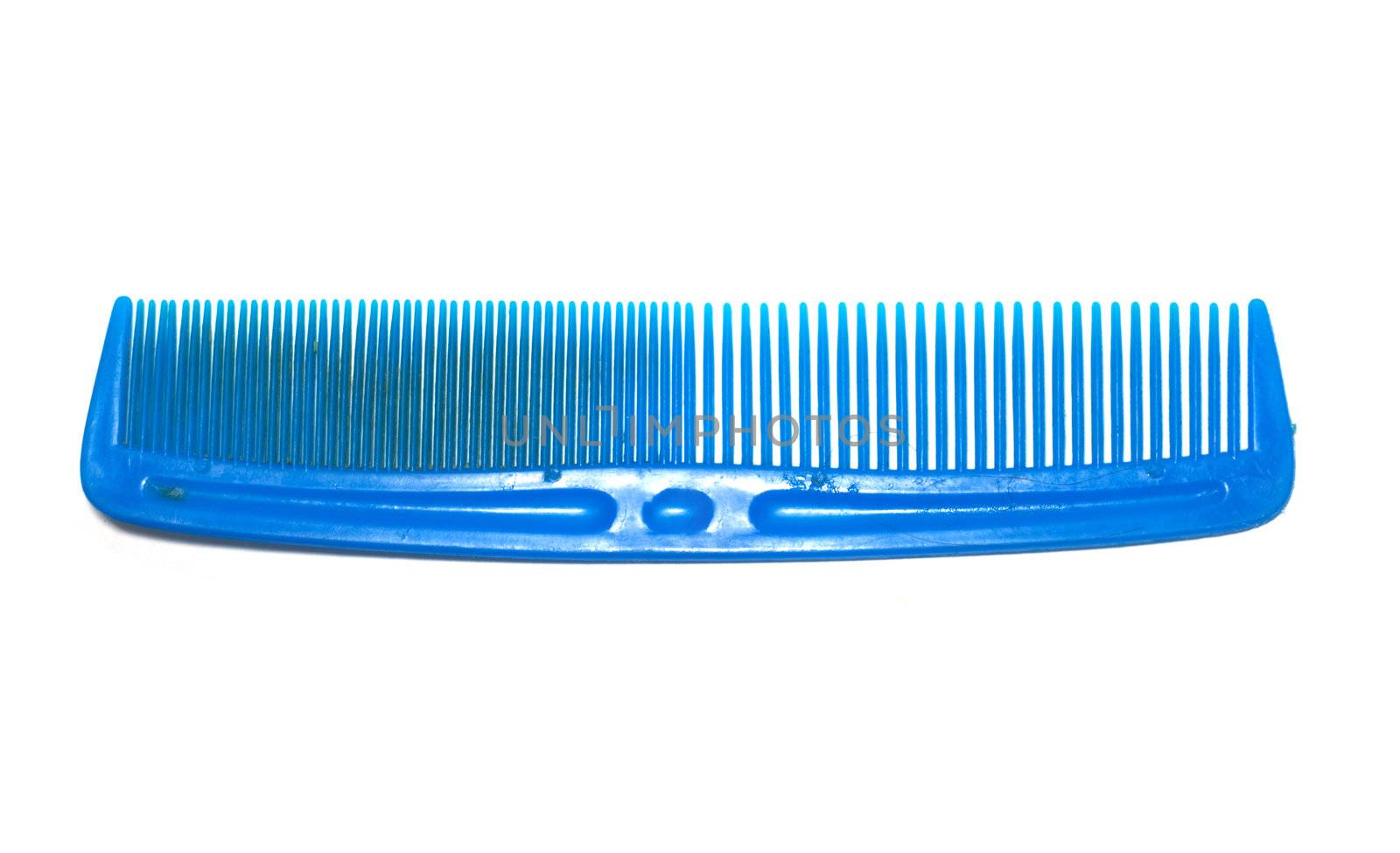 blue comb by schankz