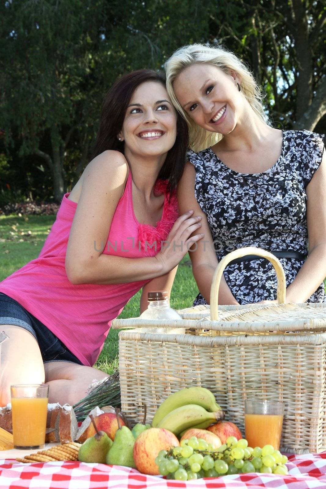 Two beautiful young lady friends enjoying a picnic together on a green lawn