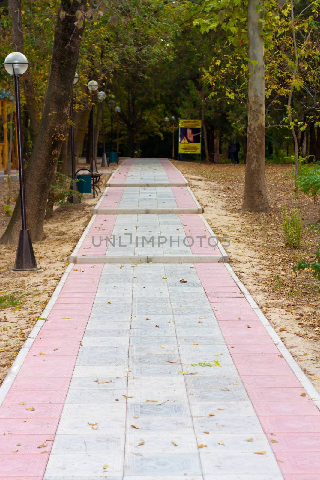 Walk path in the park 