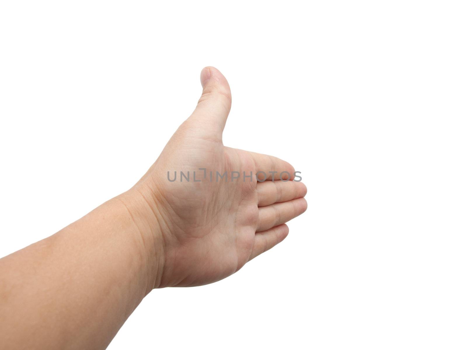 hand on a white background