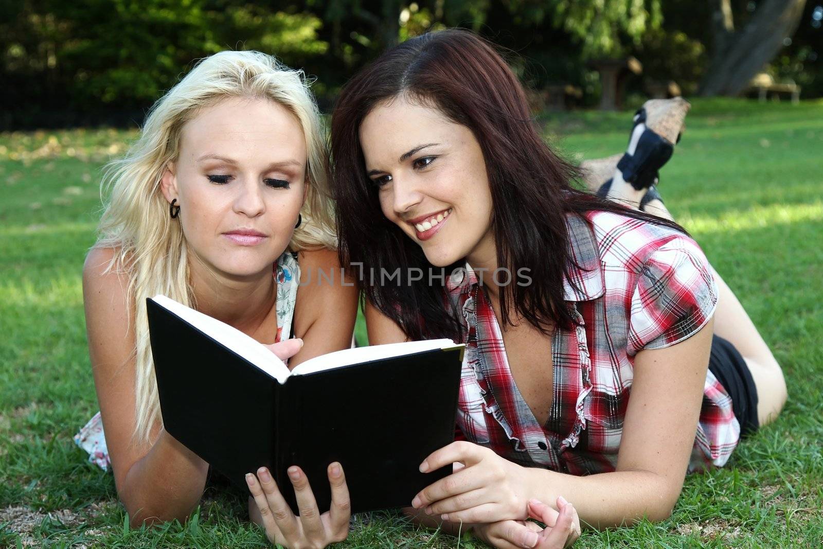 Beautiful Ladies Reading Book by fouroaks