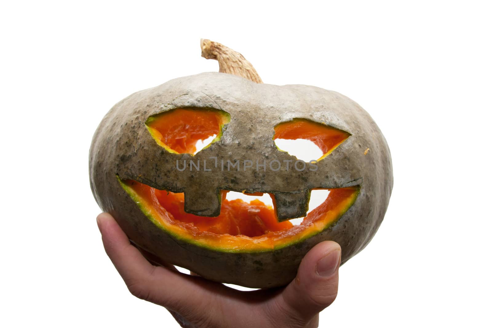   hand holding halloween pumpkin 