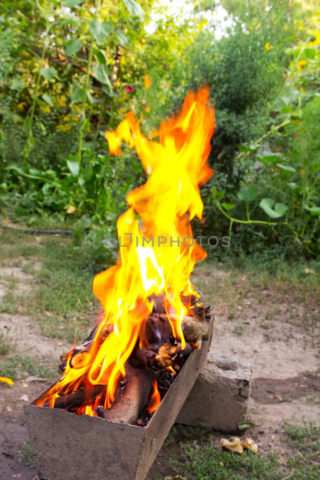 fire in a brazier on the background of green forest 