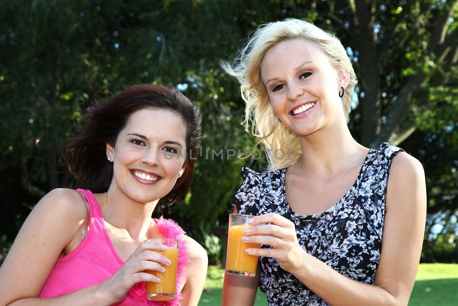 Pretty brunette and blonde women friends enjoying a glass of wine outdoors