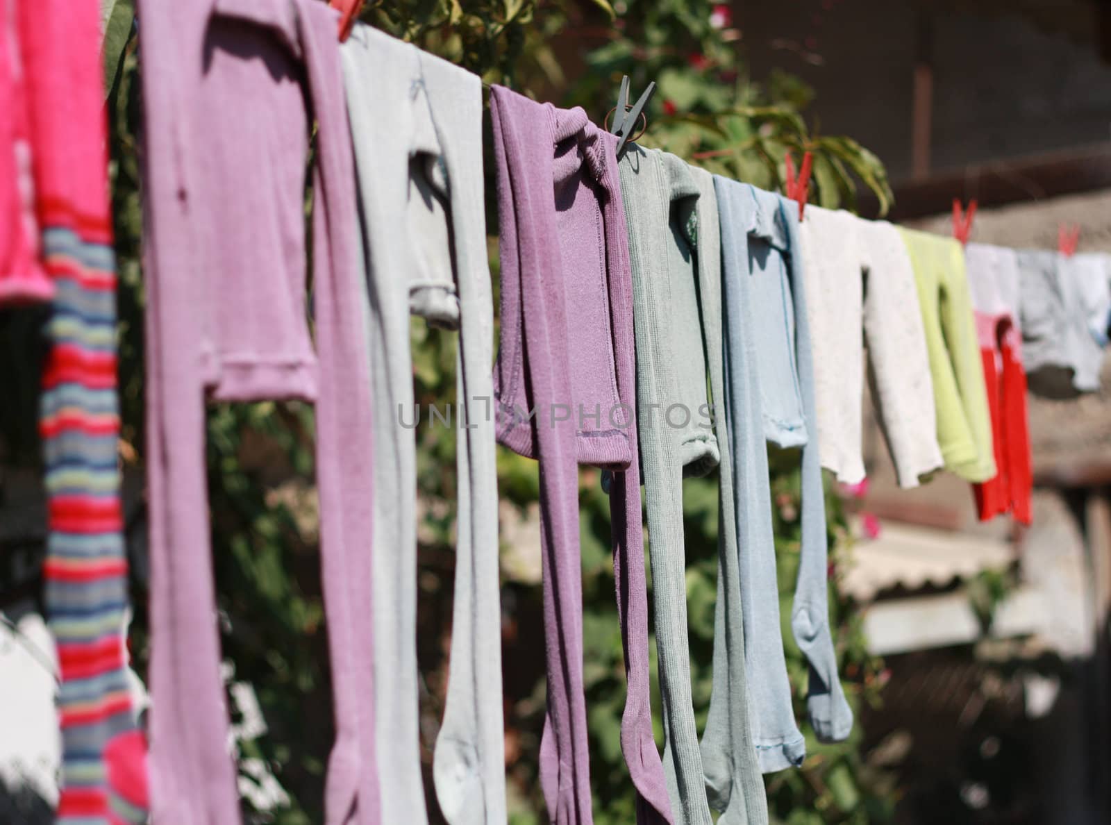 Children's tights for drying by schankz