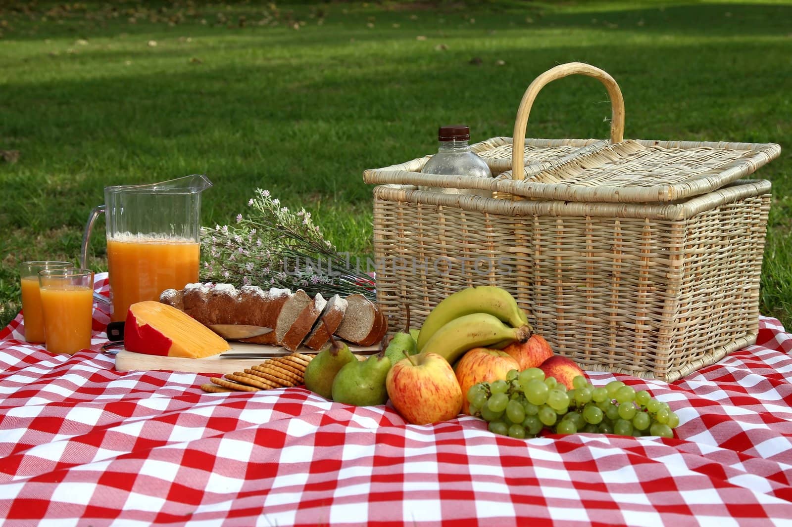 Sumptuous picnic spread out on a red and white checked cloth with wicker basket