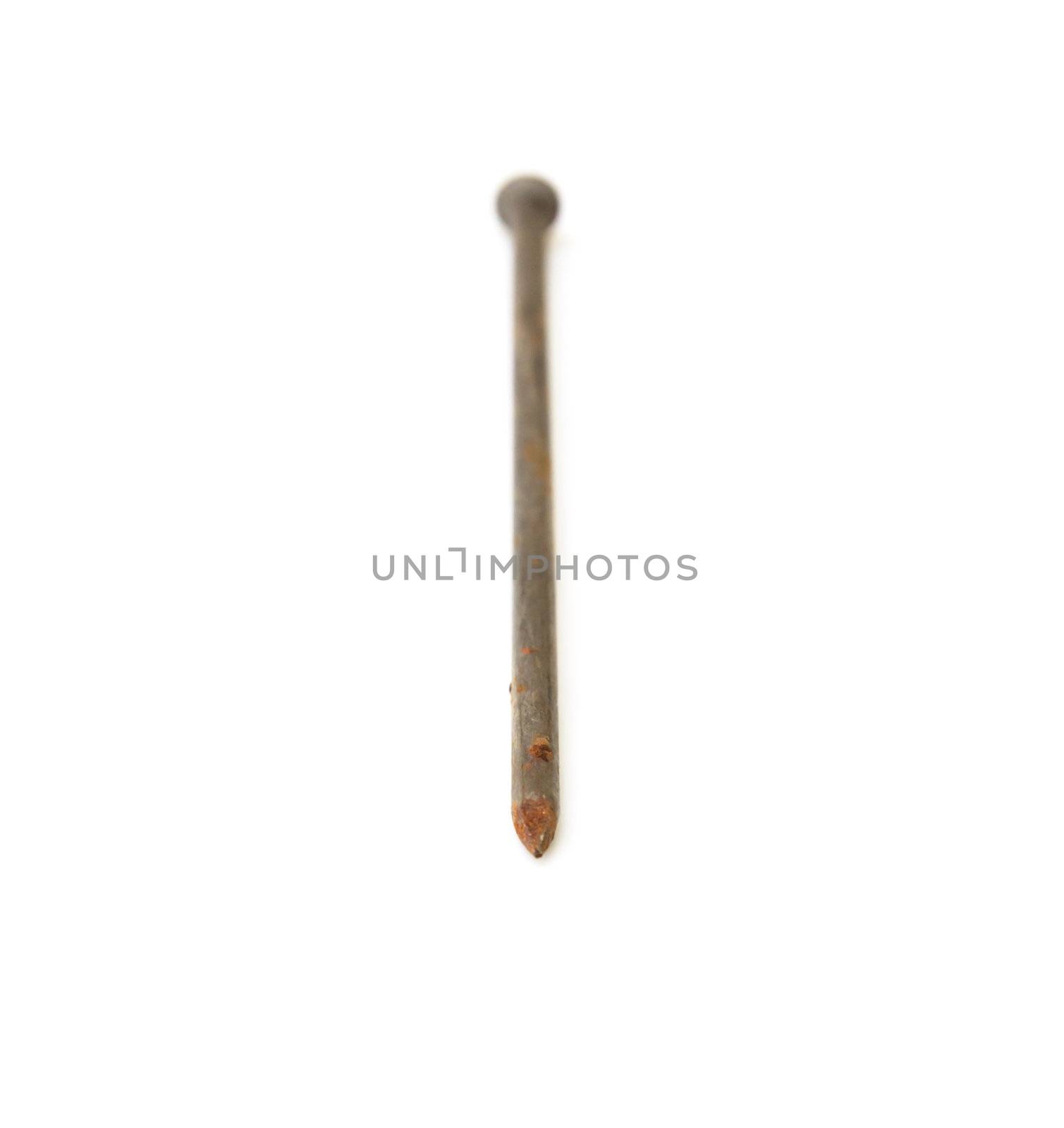 One metal nail isolated on a white background 