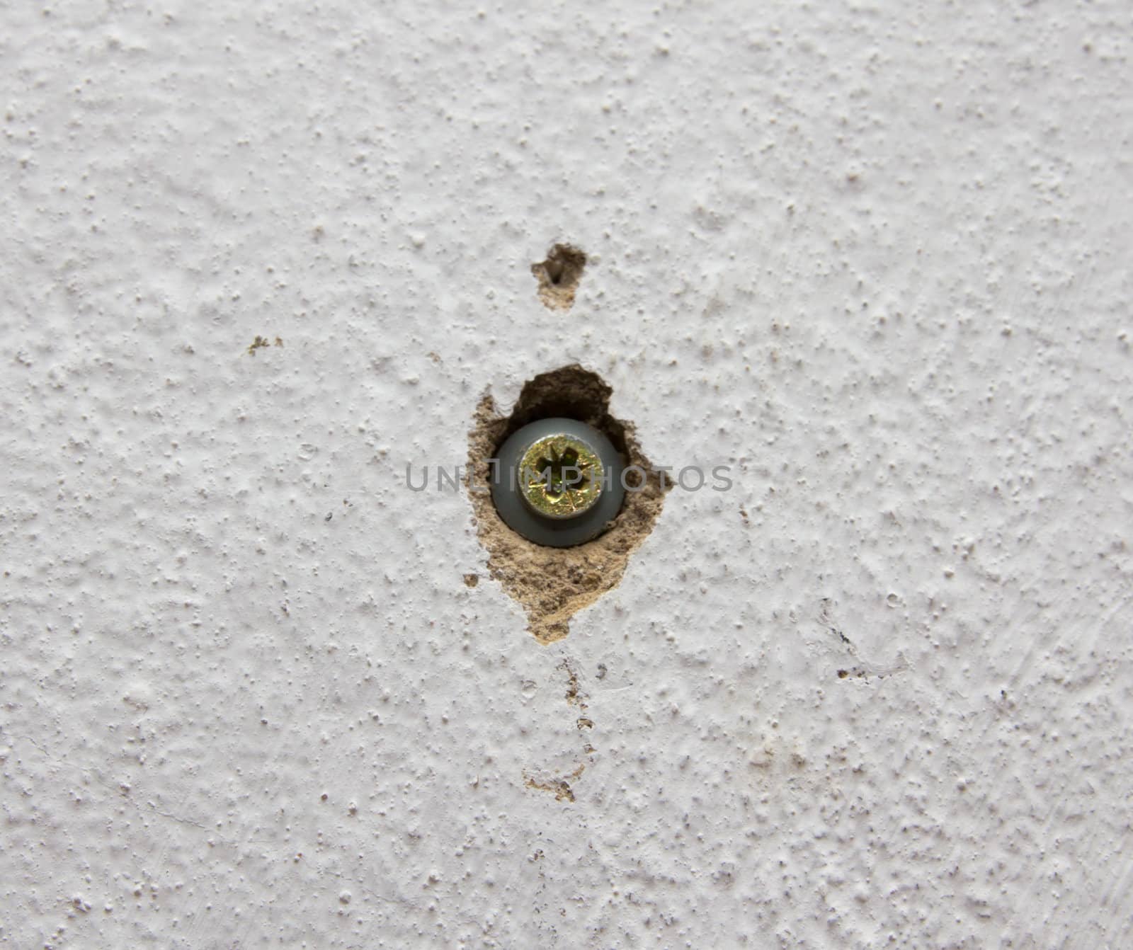 screw in a white wall