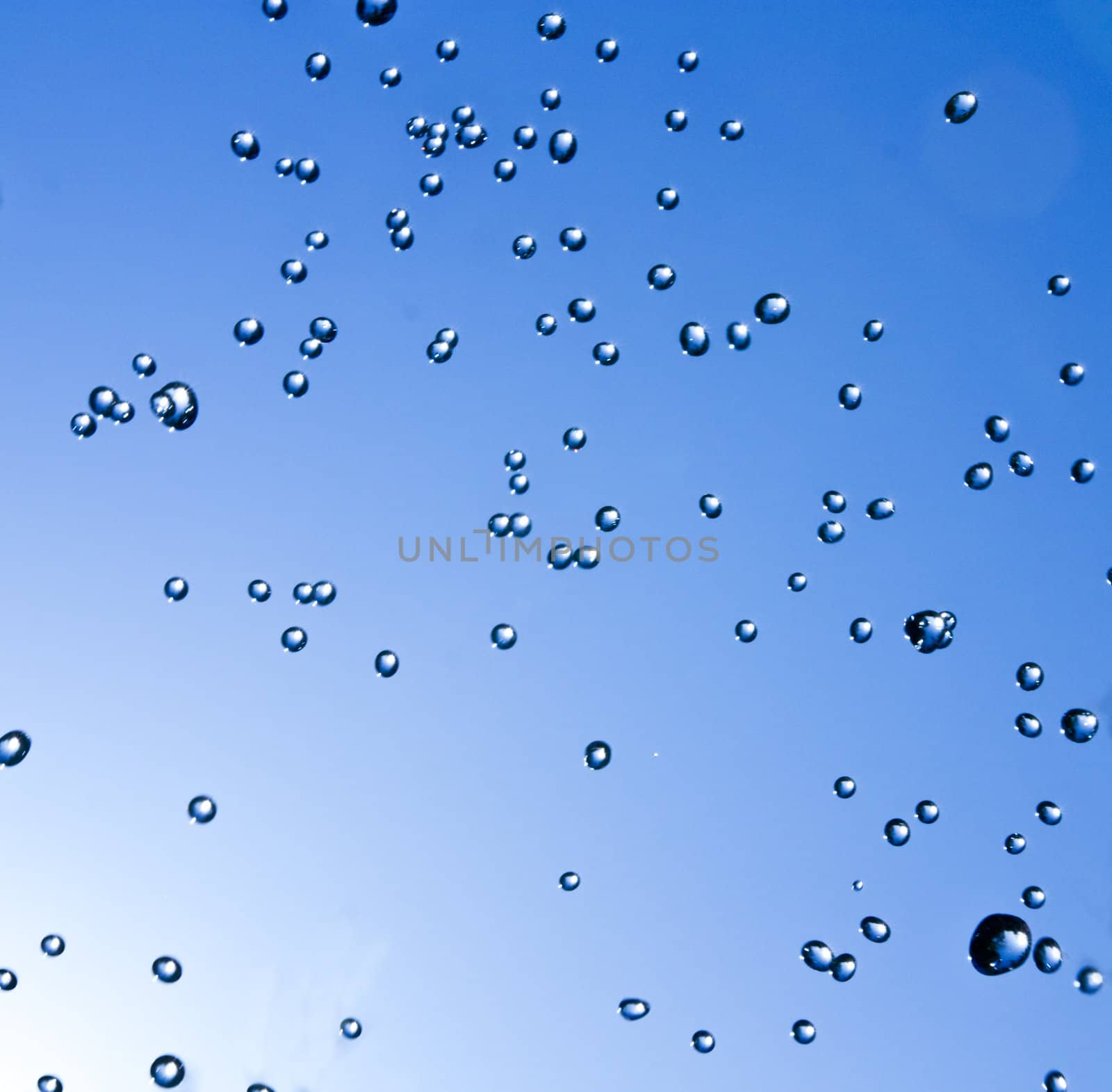 drops in the sky as a backdrop