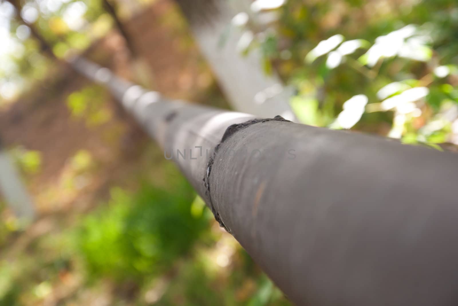 pipe in the woods