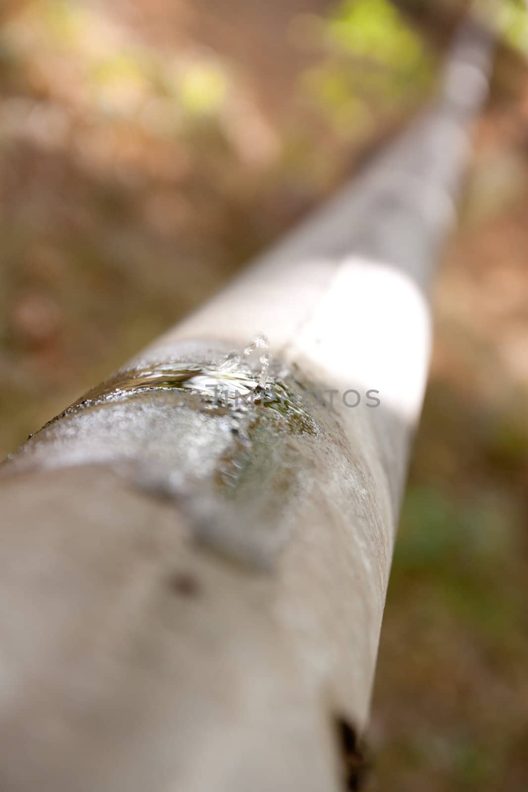 Leak of water from a crack in an old rusty pipe 