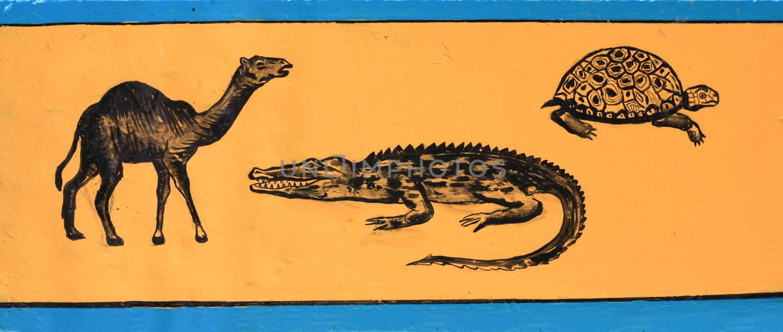 drawing a camel, crocodile, turtle by schankz